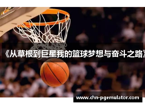 《从草根到巨星我的篮球梦想与奋斗之路》