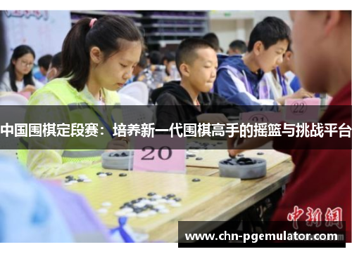 中国围棋定段赛：培养新一代围棋高手的摇篮与挑战平台