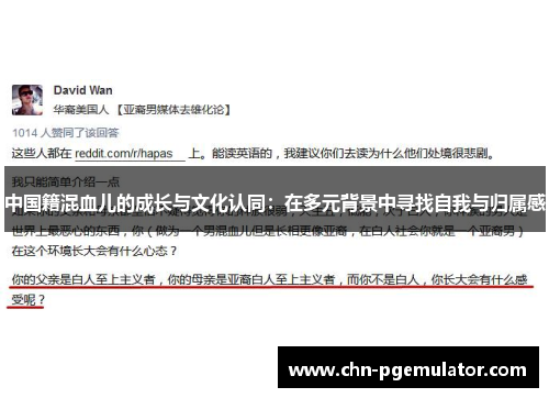 中国籍混血儿的成长与文化认同：在多元背景中寻找自我与归属感