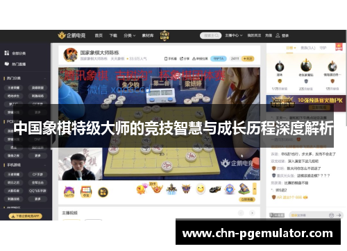 中国象棋特级大师的竞技智慧与成长历程深度解析
