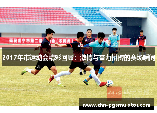 2017年市运动会精彩回顾：激情与奋力拼搏的赛场瞬间