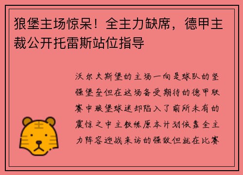 狼堡主场惊呆！全主力缺席，德甲主裁公开托雷斯站位指导