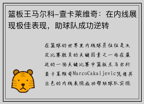 篮板王马尔科-查卡莱维奇：在内线展现极佳表现，助球队成功逆转